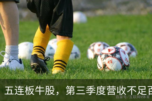 五连板牛股，第三季度营收不足百万，跌停开盘