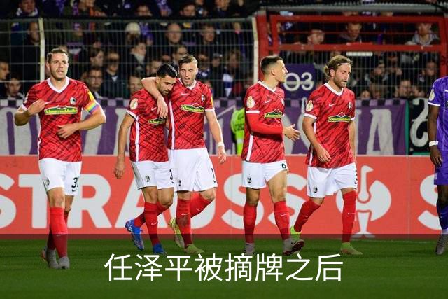 任泽平被摘牌之后