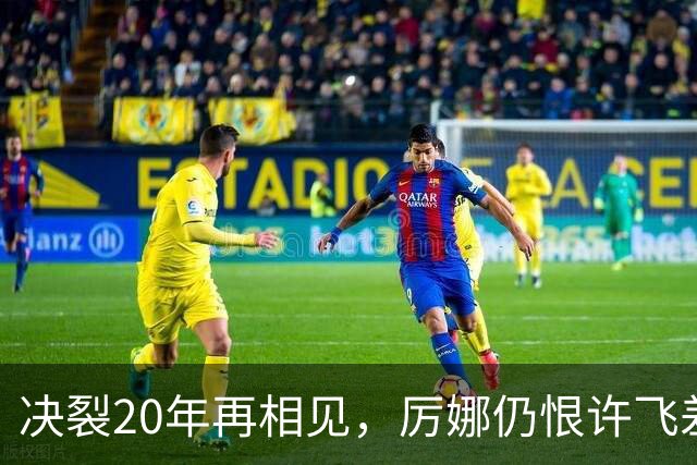 决裂20年再相见，厉娜仍恨许飞差点打起来，马天宇大哭质问张萌