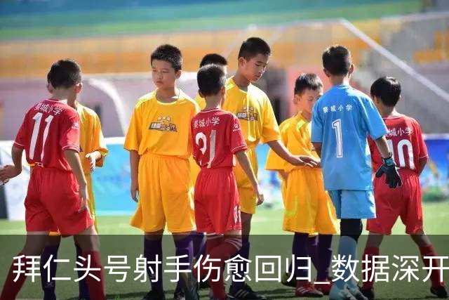 拜仁头号射手伤愈回归 数据深开或完胜收场