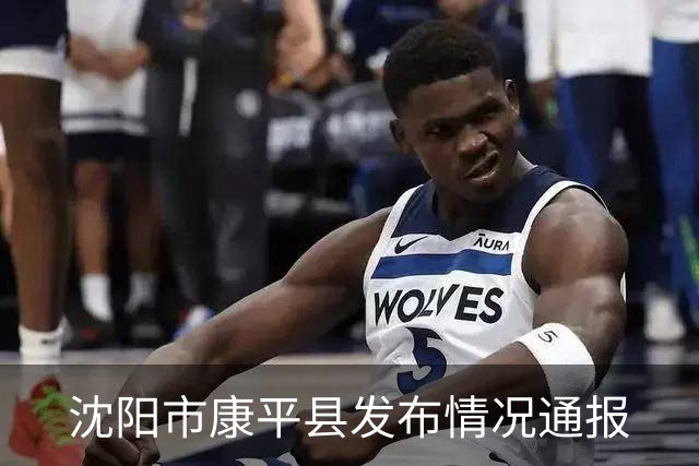 沈阳市康平县发布情况通报