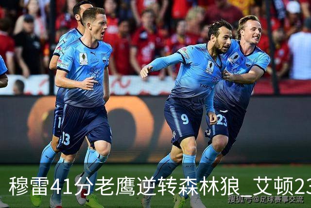 穆雷41分老鹰逆转森林狼 艾顿23板开拓者首胜