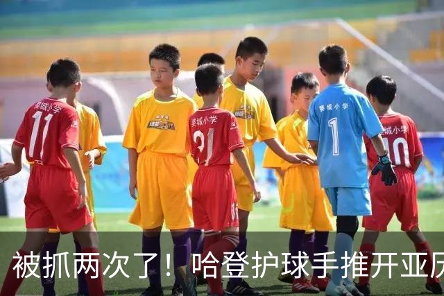 被抓两次了！哈登护球手推开亚历山大-沃克被吹进攻犯规