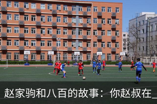 赵家驹和八百的故事:你赵叔在 你爸也在