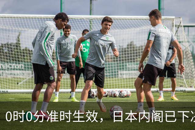 0时0分准时生效，日本内阁已下决心，对中国加税，最高顶格出手