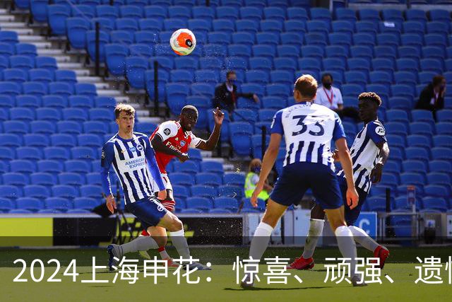 2024上海申花:惊喜、顽强、遗憾--明年拿冠军